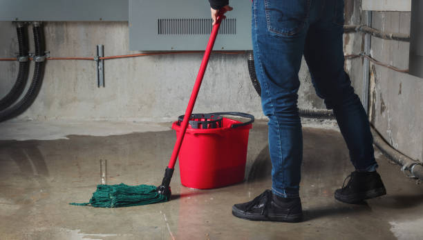 Best Fire Damage Restoration  in Hilmar Irwin, CA